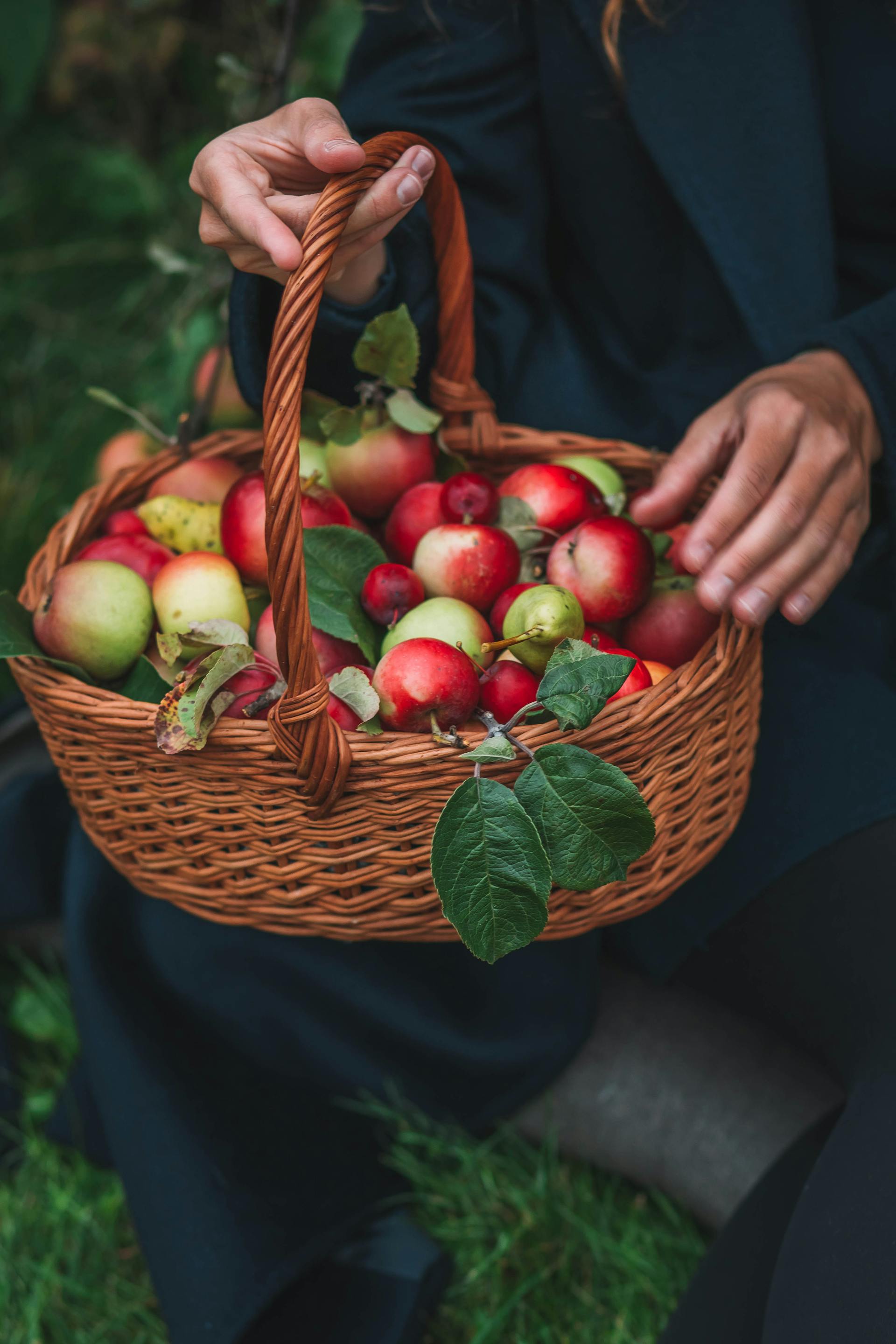 Una mujer con una cesta de manzanas | Fuente: Pexels