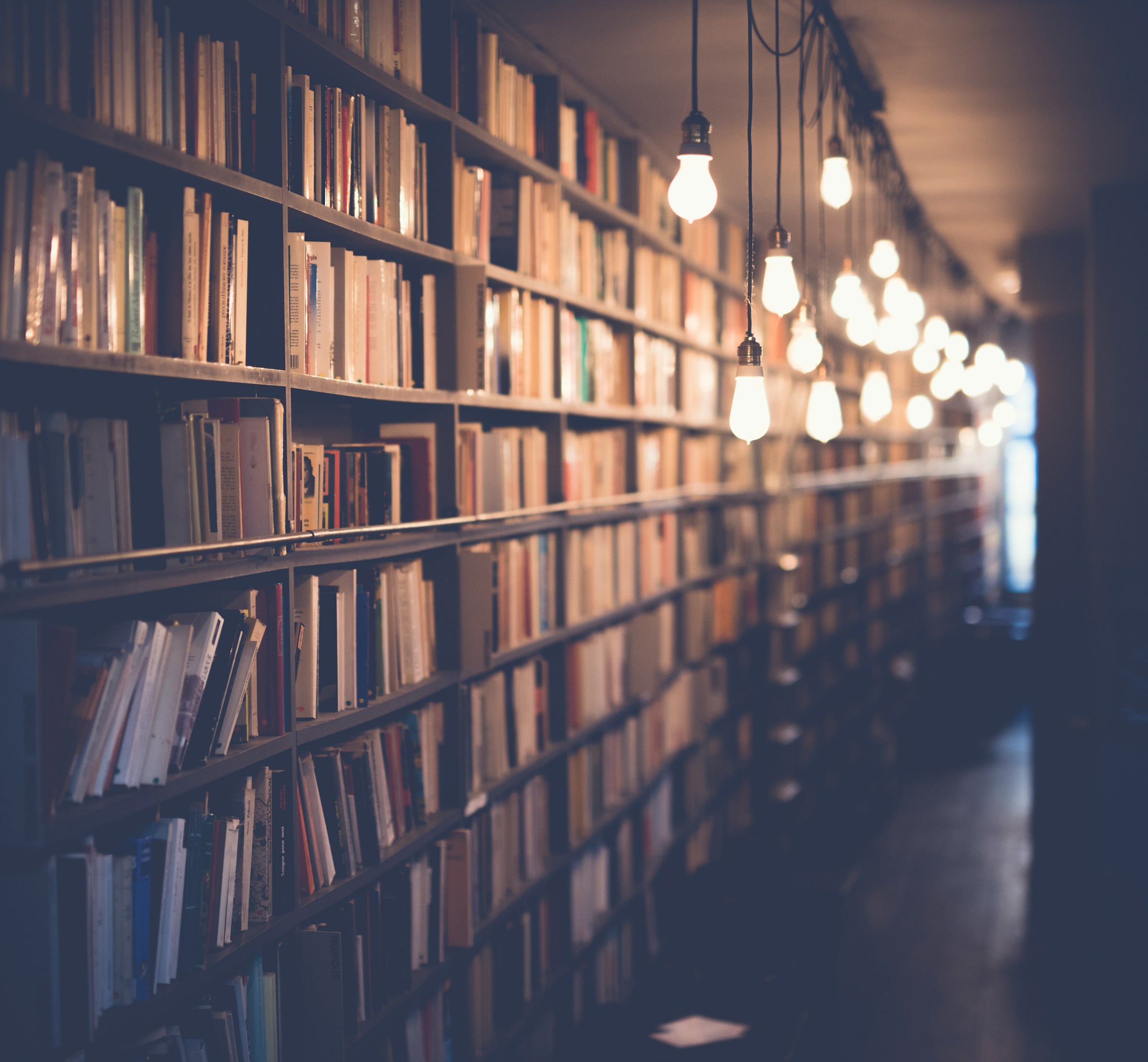 Una biblioteca con bombillas colgantes | Fuente: Unsplash