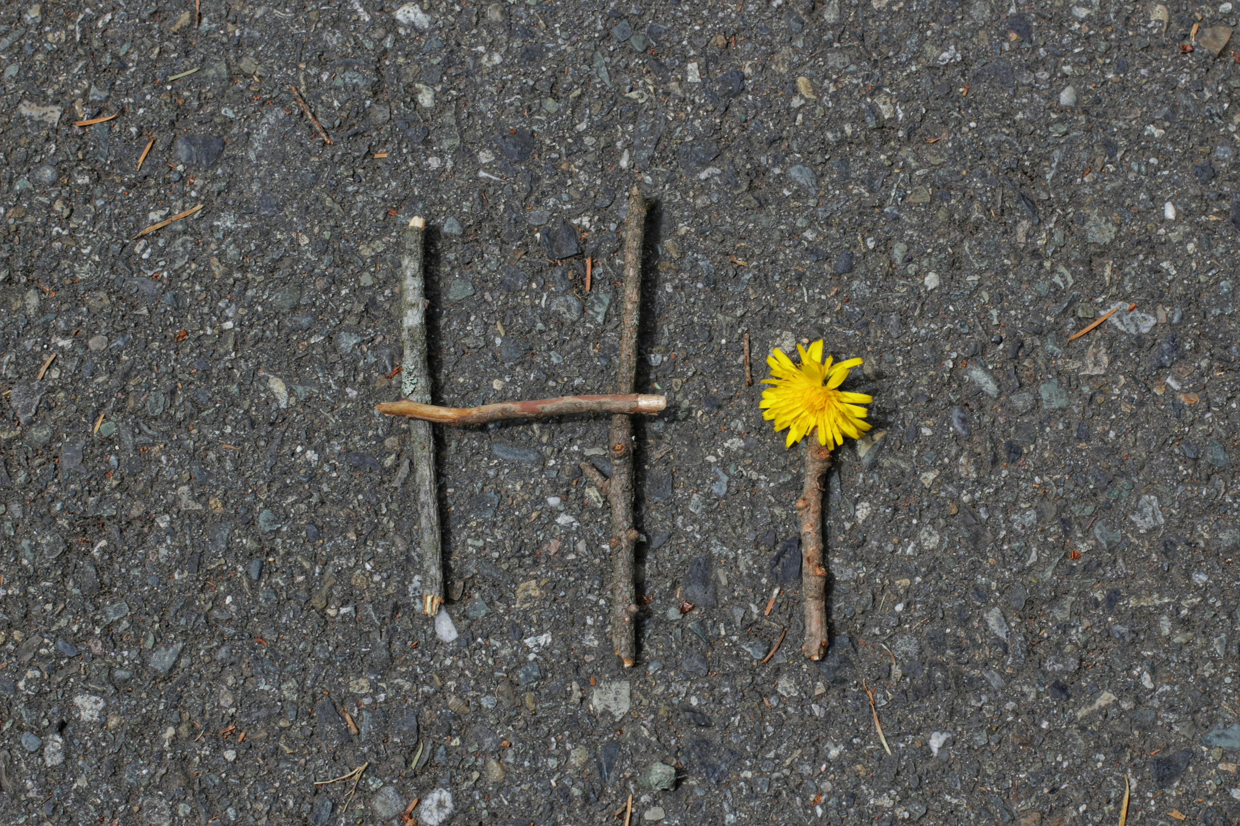 Imagen con fines ilustrativos | Foto: Pexels