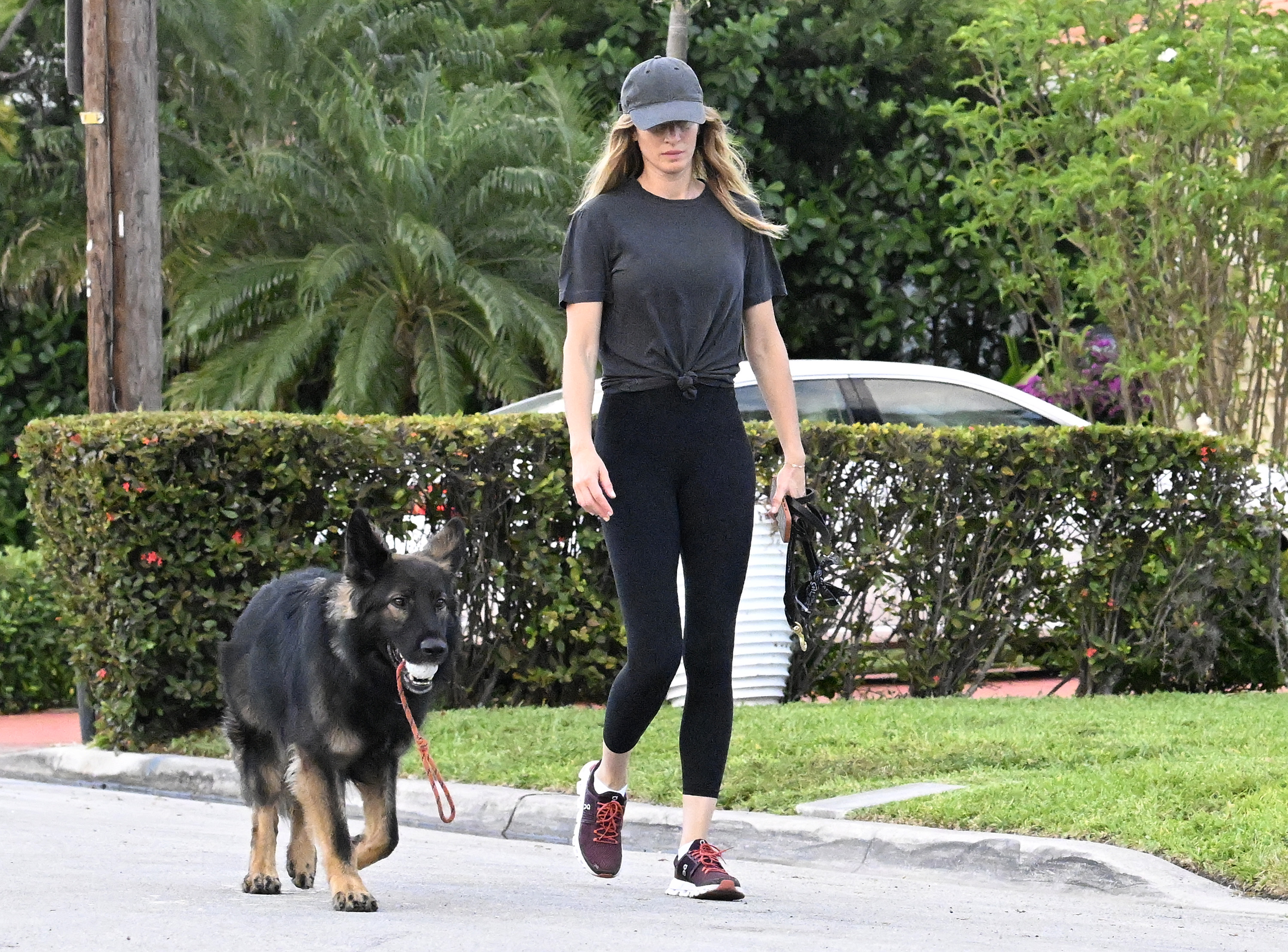 Gisele Bündchen aparece un día más con su perro Alfie. | Fuente: Getty Images