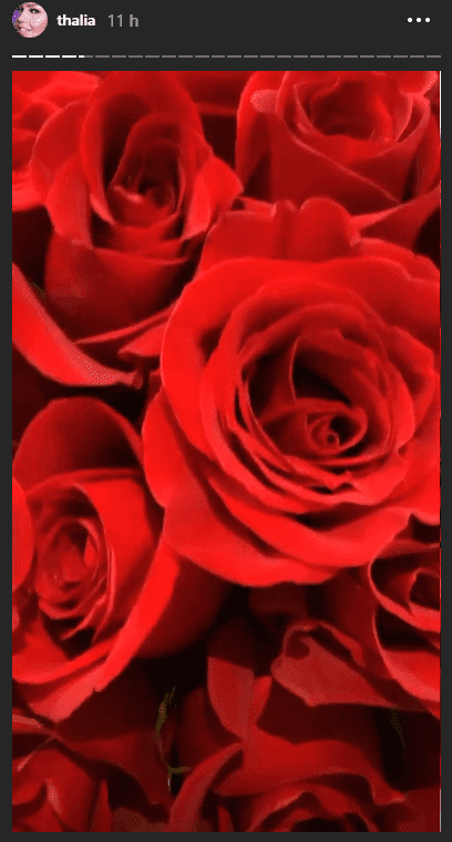 Thalía compartió una foto de su ramo de rosas. | Foto: https://www.instagram.com/stories/thalia/
