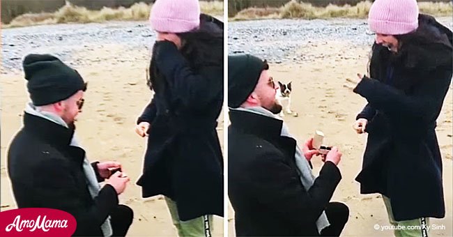 Dulce momento en que hombre pide matrimonio en la playa a su novia a quien le quedan meses de vida