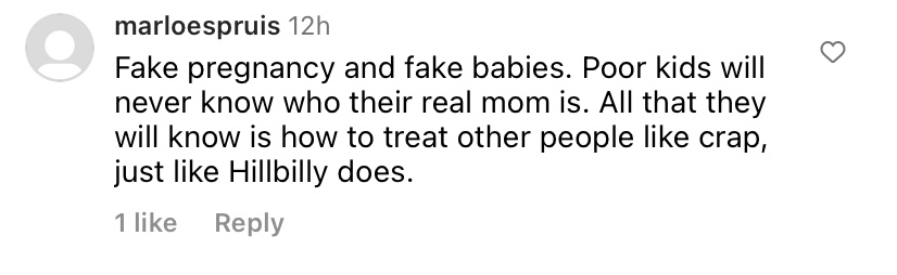 Un comentario negativo tachando de "falso" el embarazo de Hilary Swank en la foto que muestra a sus gemelos publicada el 10 de abril de 2023 | Foto: Instagram.com/hilaryswank