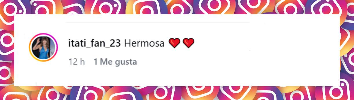 Comentario de un internauta | Fuente: Instagram/itatic_oficial