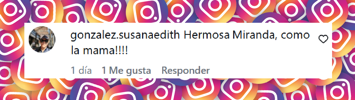 Comentario de una usuaria sobre la publicación de Eleonora Wexler sobre su hija Miranda Wassington | Fuente: Instagram/eleowexler
