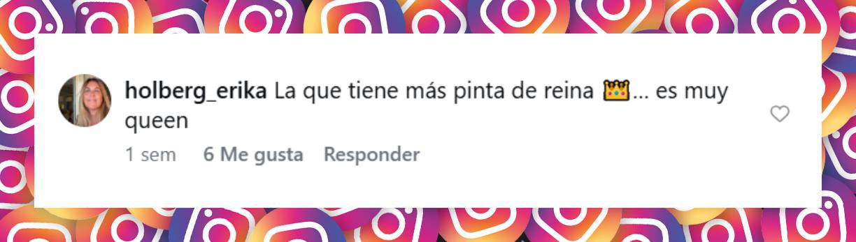 Comentario de una usuaria | Fuente: Instagram/holaarg