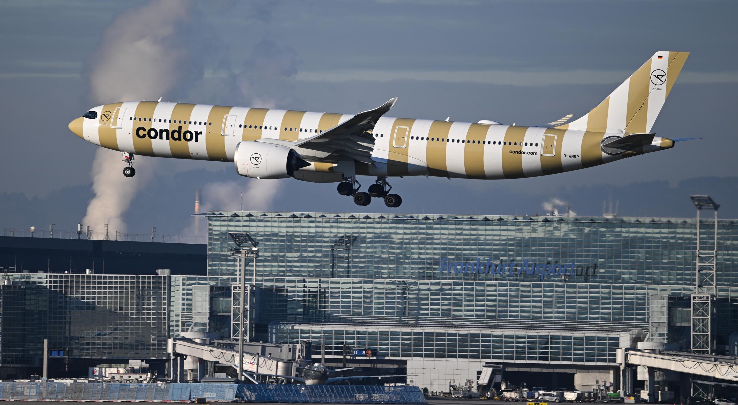 Un Airbus A330-941 de Condor a rayas doradas y blancas aterriza en el aeropuerto de Frankfurt el 14 de enero de 2025 | Fuente: Getty Images