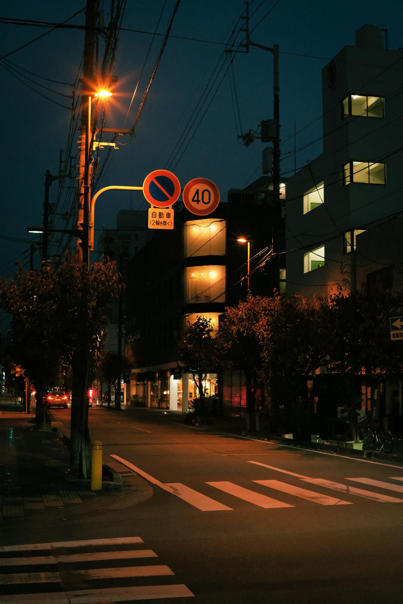 Foto nocturna de un paso de peatones | Fuente: Pexels