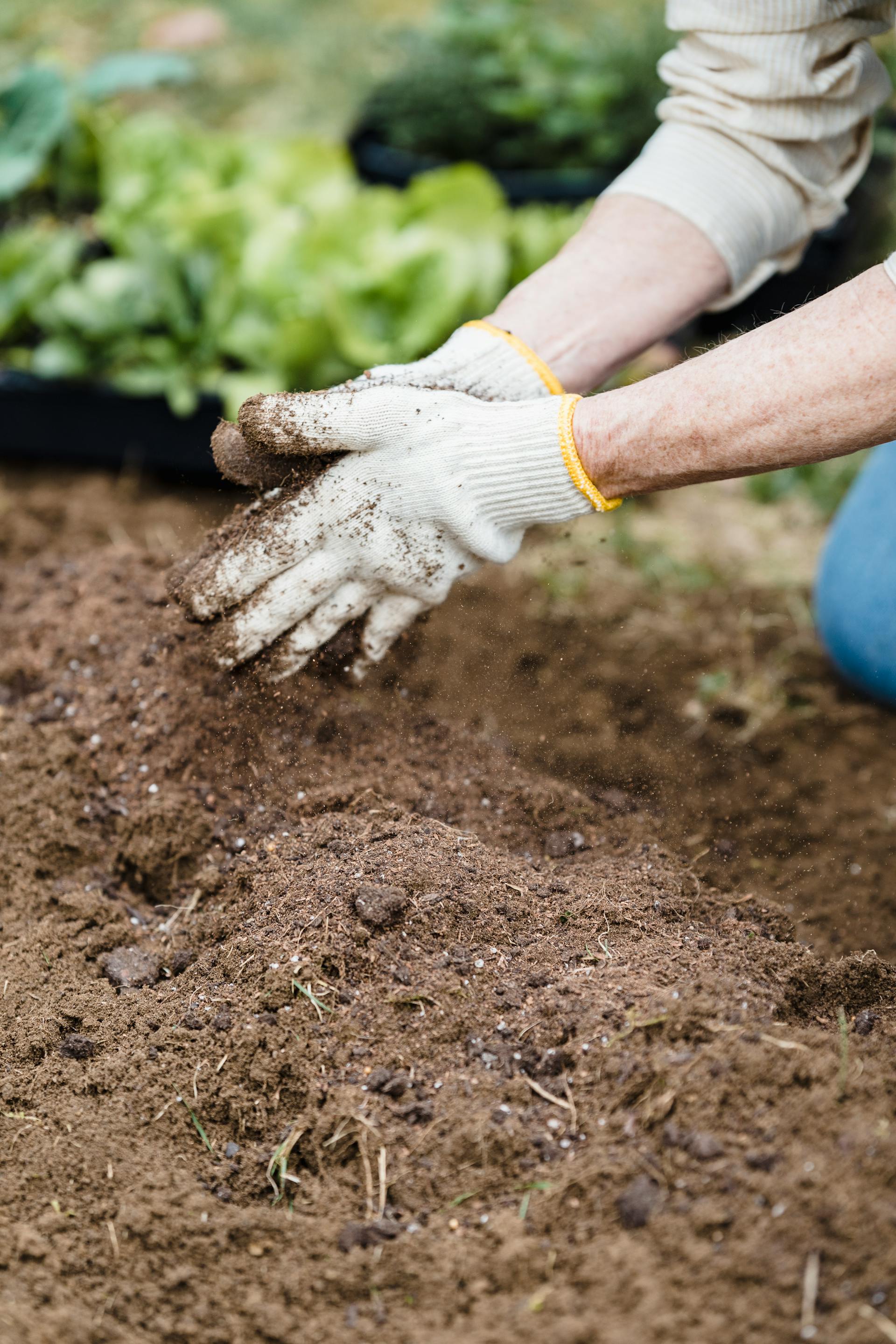 Primer plano de una persona haciendo jardinería | Fuente: Pexels