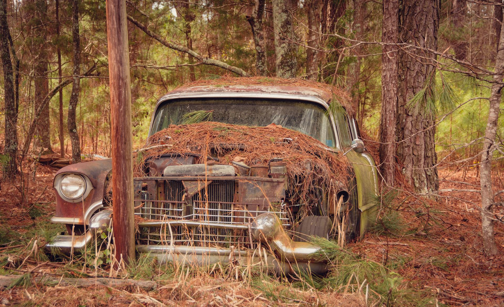 Un Automóvil abandonado en un bosque | Fuente: Pexels