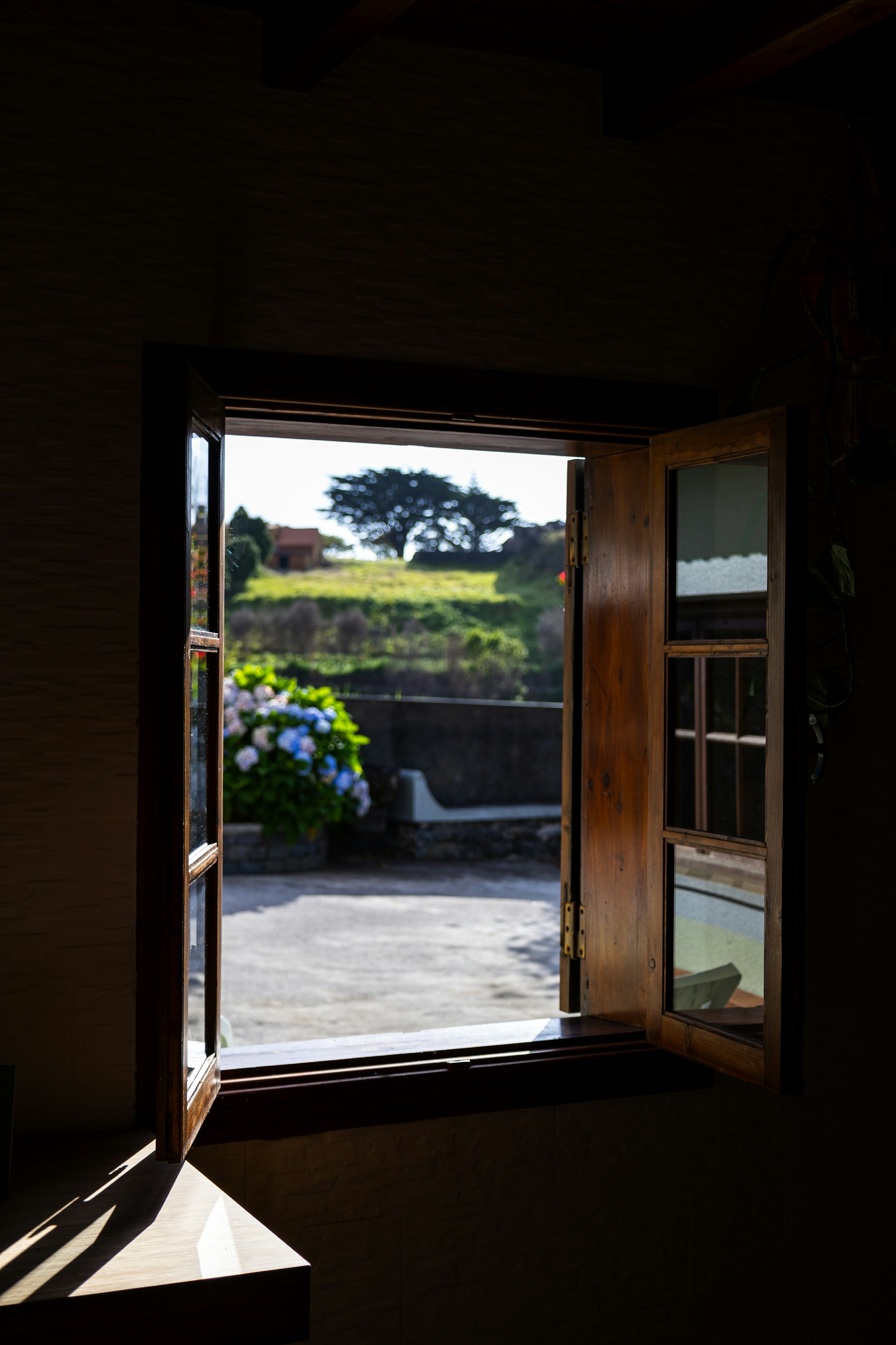 Una finestra aperta | Fonte: Unsplash