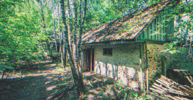 Fachada de una casa en el medio del bosque. | Foto: Shutterstock