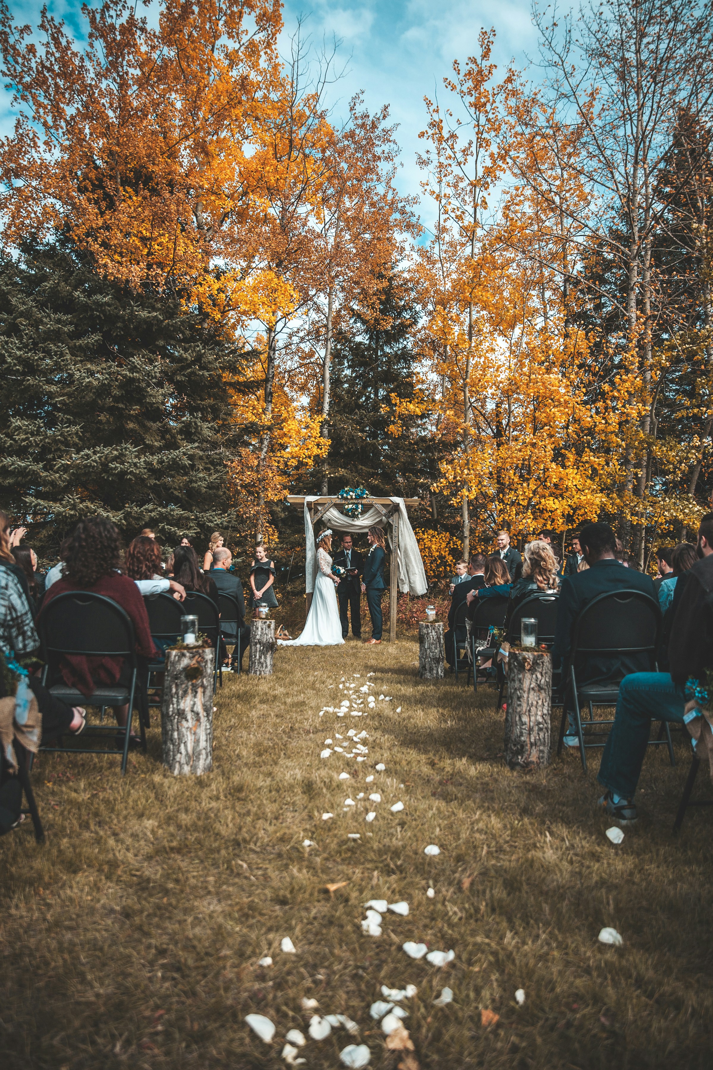 Una pequeña boda cerca del bosque | Fuente: Unsplash