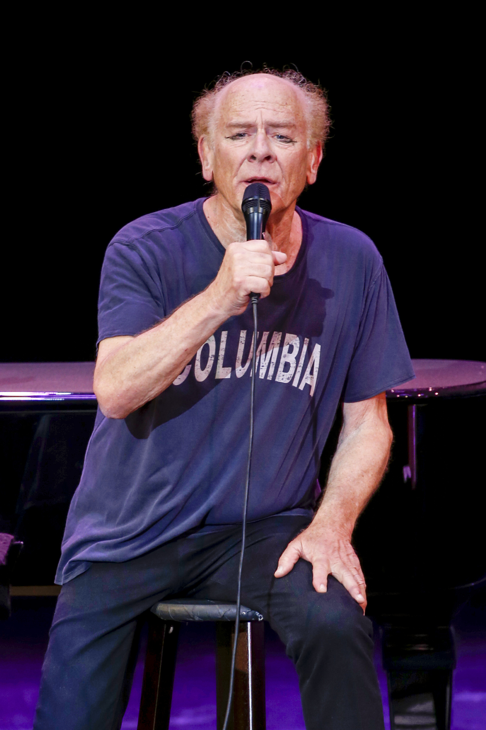 Art Garfunkel actúa en el escenario durante el Festival del Castillo de Thurn & Taxis en Ratisbona, Alemania, el 21 de julio de 2017 | Fuente: Getty Images