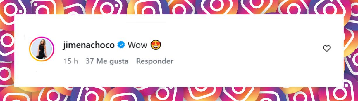 Comentario de una usuaria | Fuente: Instagram/gomitaoficial123