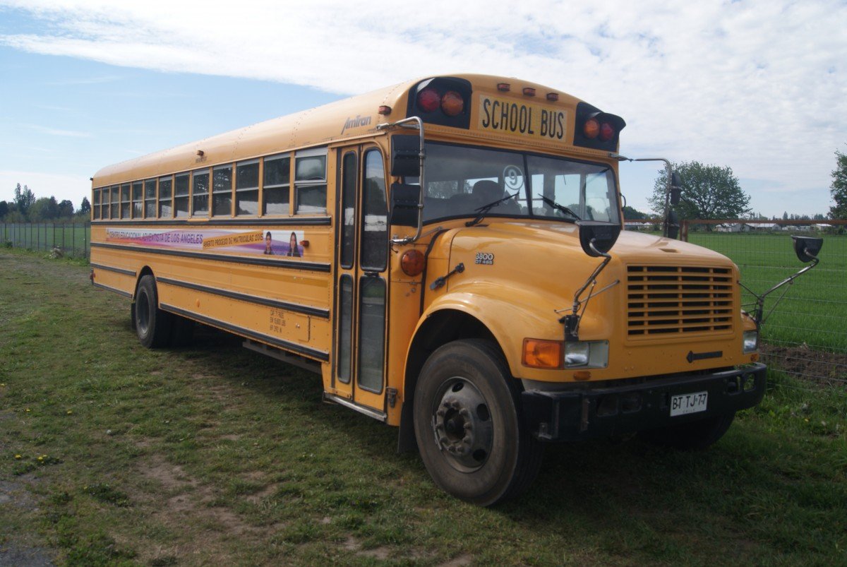 Autobús escolar sobre el pasto. | Imagen: PxHere