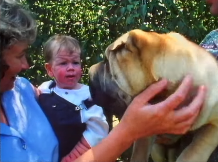 Debbie Tennent sostiene a su hijo, Tomm Tennent, mientras acaricia a un Shar Pei. | Foto: YouTube.com/60 Minutes Australia