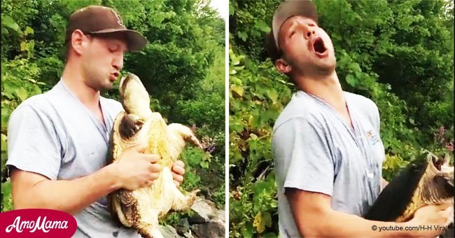 Hombre sacó a tortuga por la cola y trató de besarla. El animal le enseñó la brutal lección