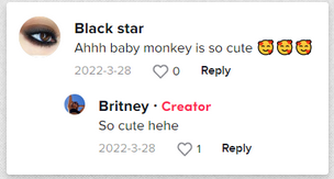 "Black Star: Awwww bebé monita es tan adorable 🥰🥰🥰 / Britney: Muy adorable jaja" | Comentario positivo sobre la bebé de Britney. | Foto: tiktok.com/@britneyisthebest_