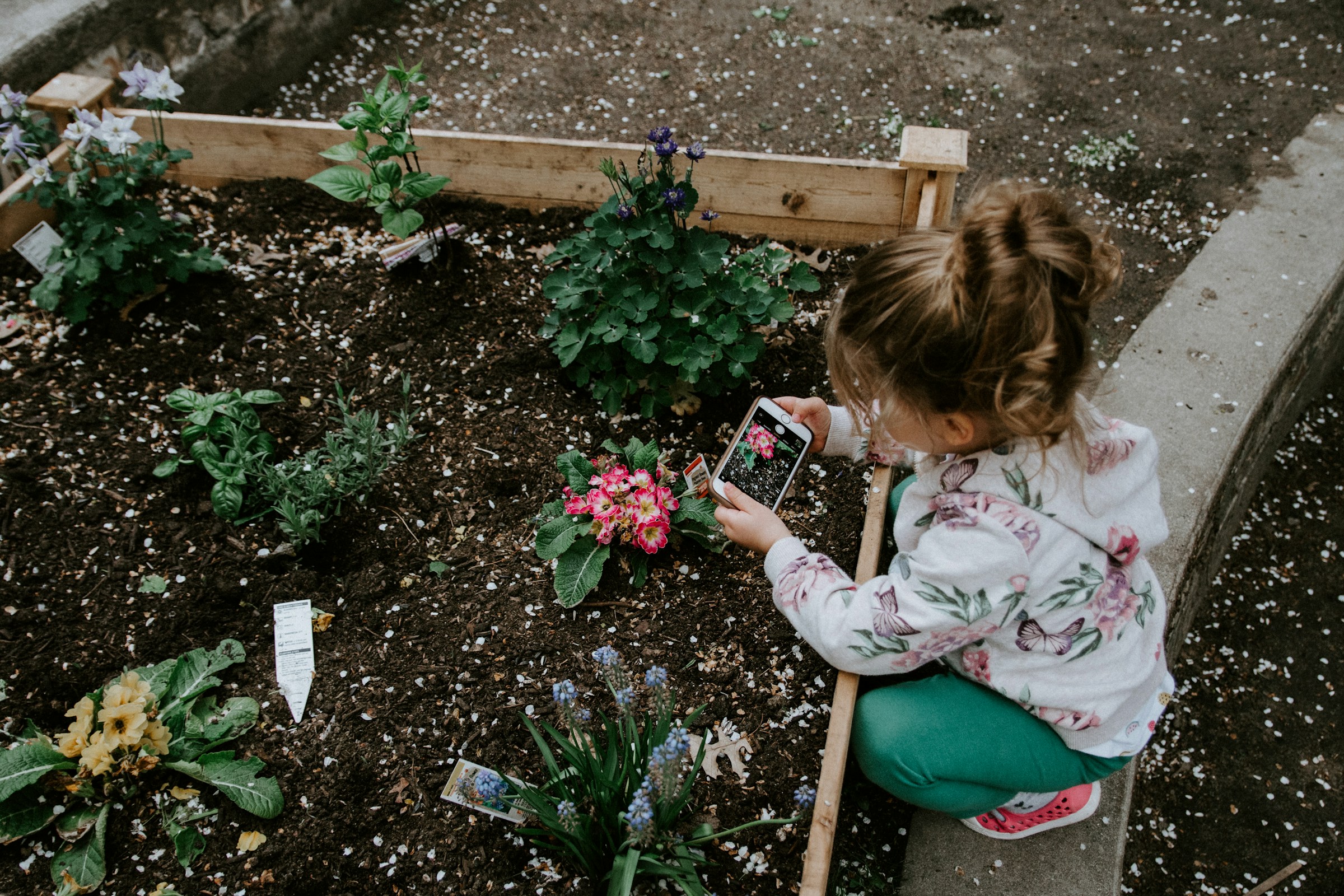 Una niña en un jardín | Fuente: Unsplash