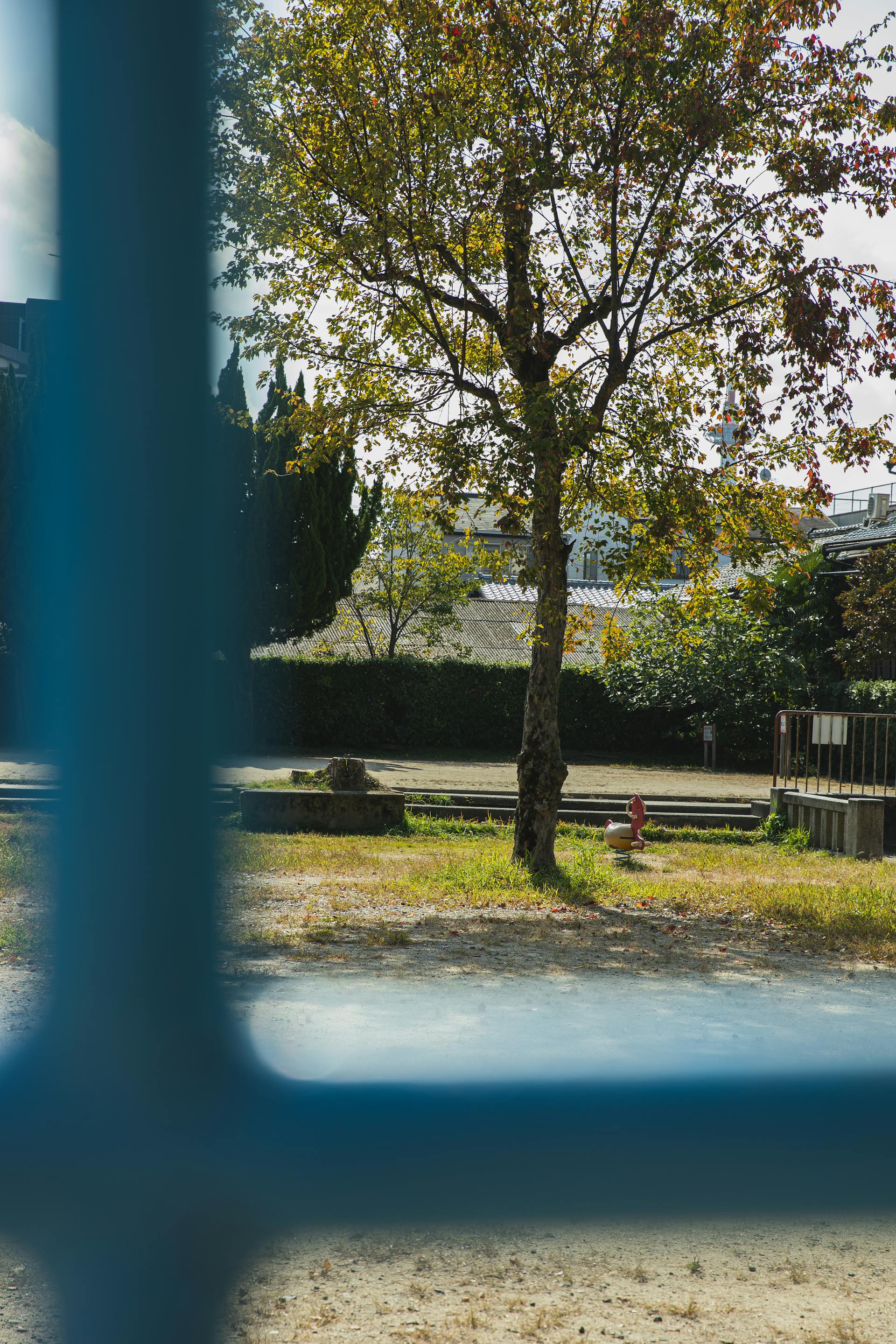 Vista desde la ventana de un patio vacío | Fuente: Pexels