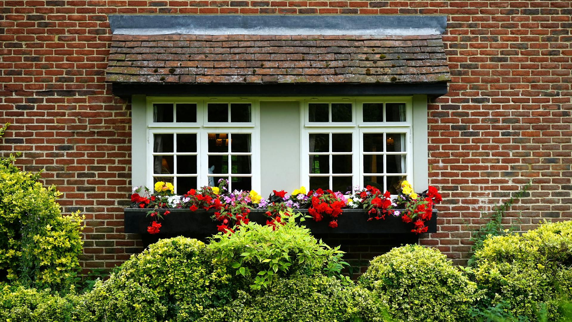 Una ventana | Fuente: Pexels