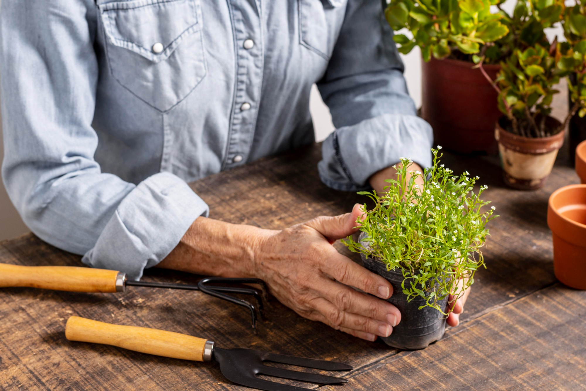 Un hombre cuidando las plantas | Fuente: Freepik