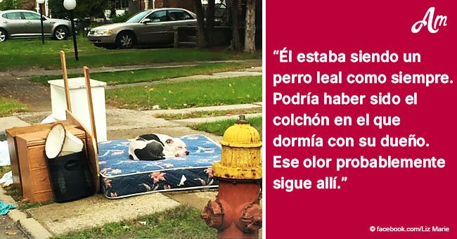 Familia cruel abandonó a su perro junto a muebles deshechados, pero él siguió esperando su regreso