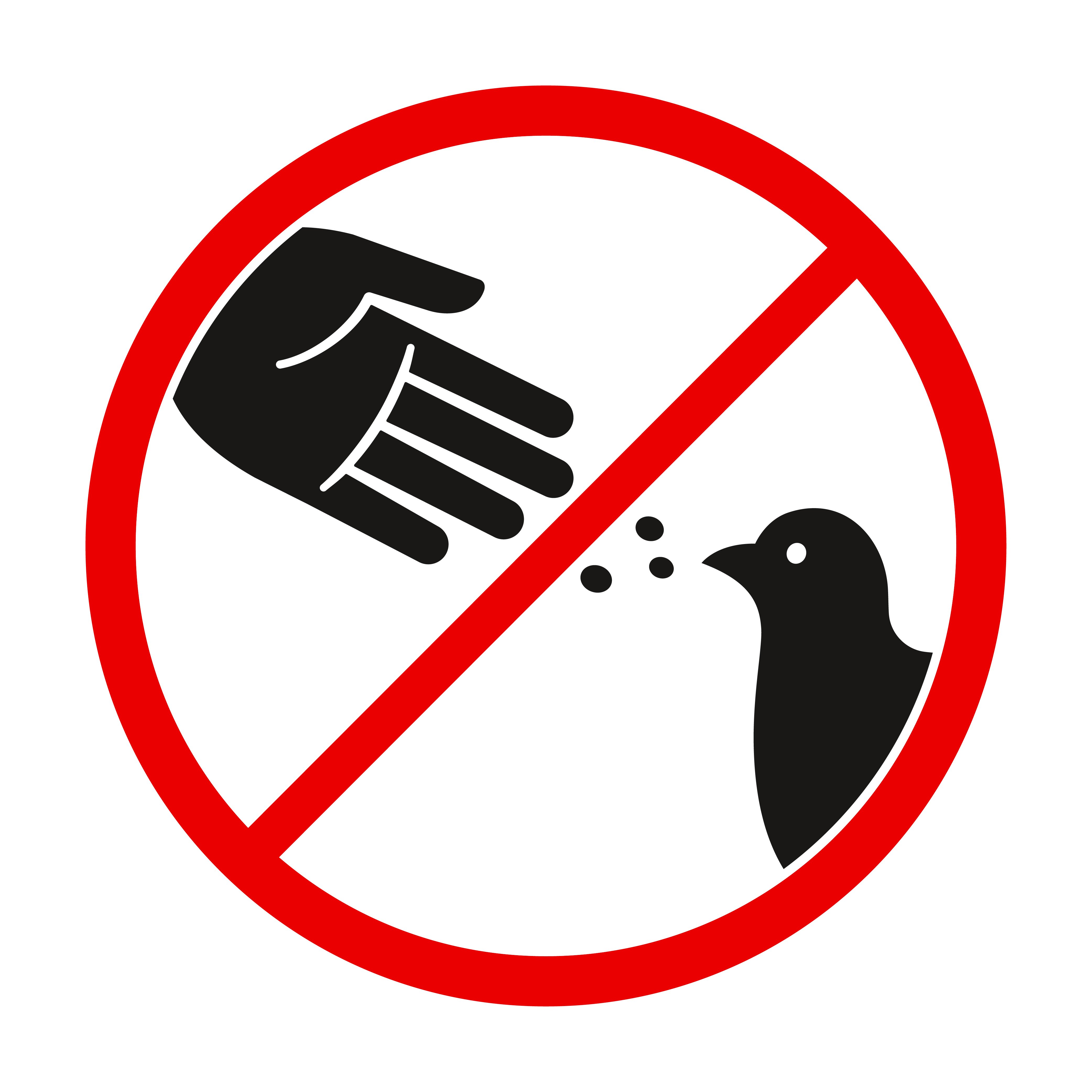 Letrero de no alimentar a las palomas. || Fuente: Shutterstock