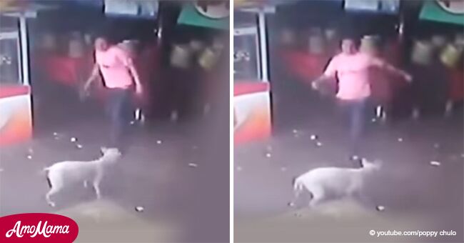 Cámara oculta capta el momento en que hombre se resbala al intentar agredir a un perro