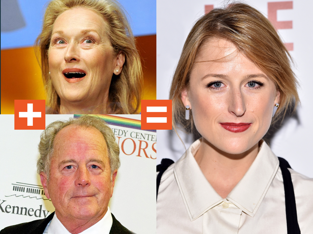 Un collage de Meryl Streep, Don Gummer y Mamie Gummer | Fuente: Getty Images