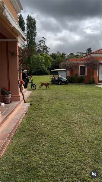 Susana Giménez durante un paseo en bicicleta en el jardín de su mansión junto a sus perritos | Fuente: Instagram/gimenezsuok