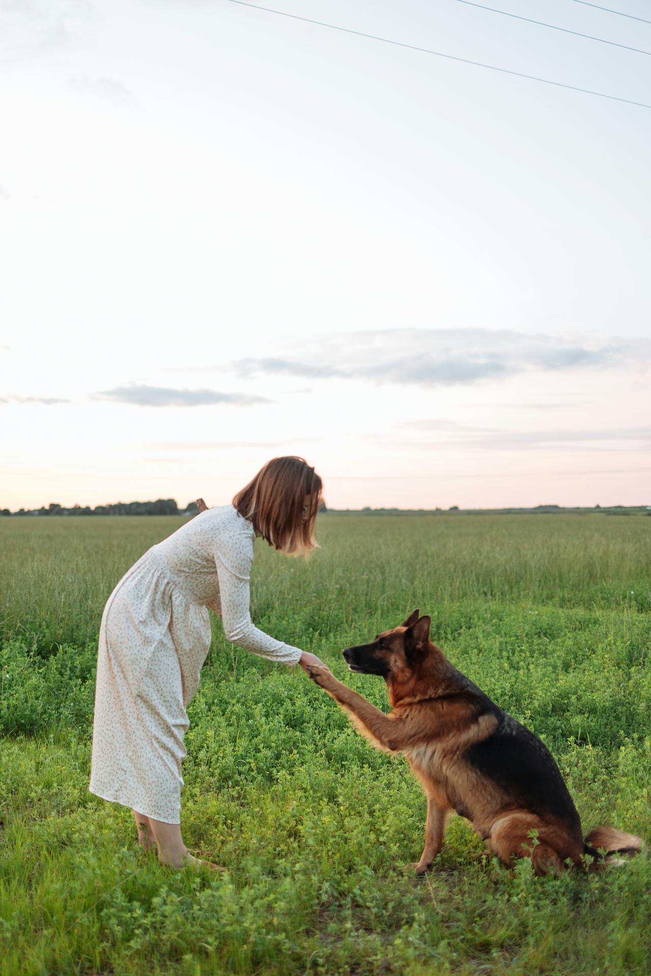 Una mujer con su adorable perro de compañía | Fuente: Pexels