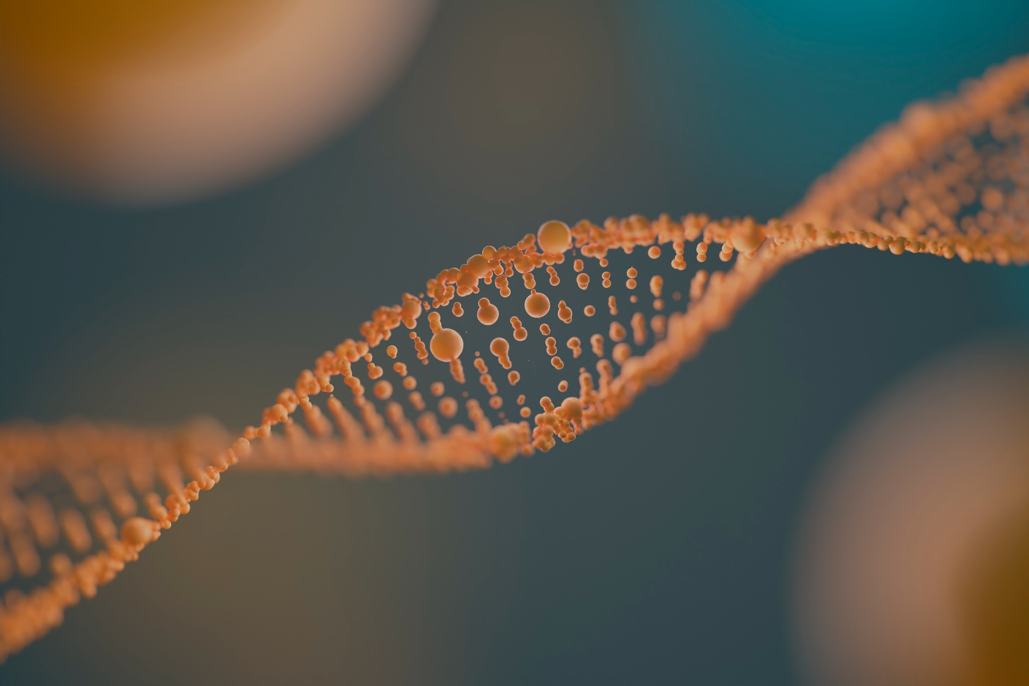 Representación en 3D de una cadena de ADN | Foto: Freepik
