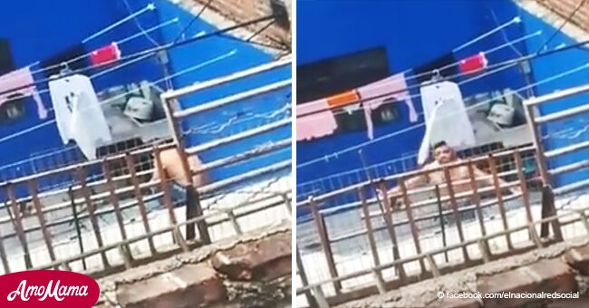 Hombre cruel es capturado en video cuando estaba a punto de electrocutar y torturar a su perro