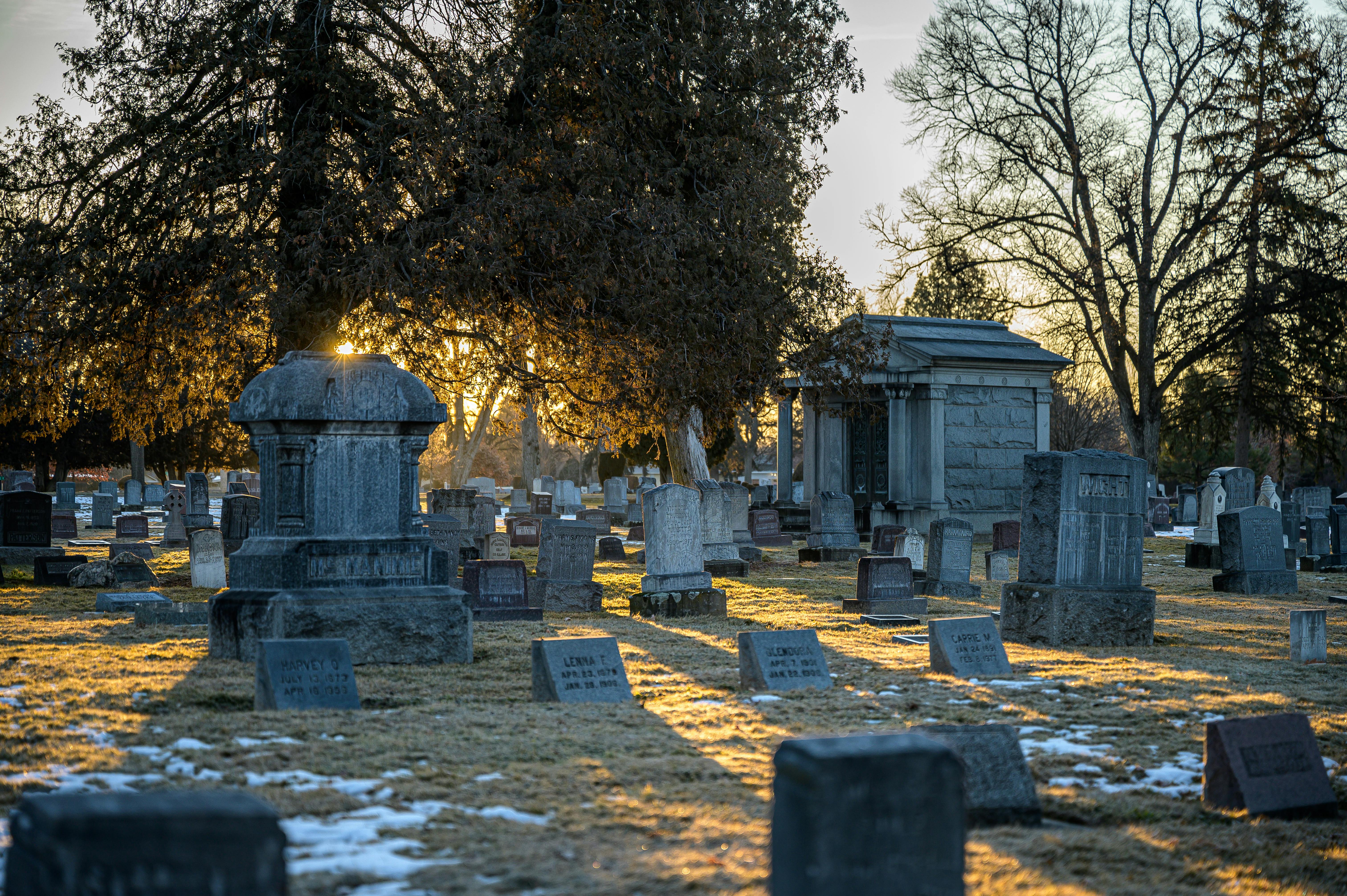 Un cementerio iluminado por el sol | Fuente: Pexels