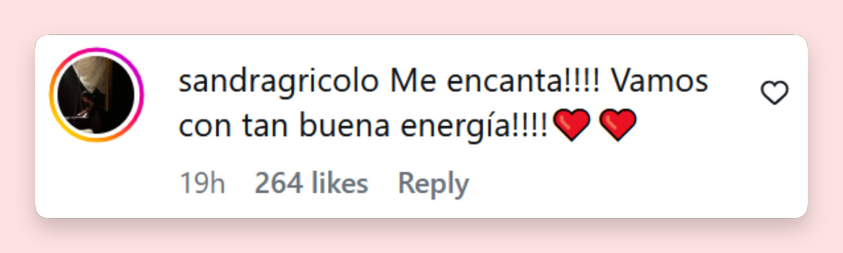 Comentario de una persona sobre el video de Susana Giménez paseando en bicicleta junto a sus perros en su mansión | Fuente: Instagram/gimenezsuok