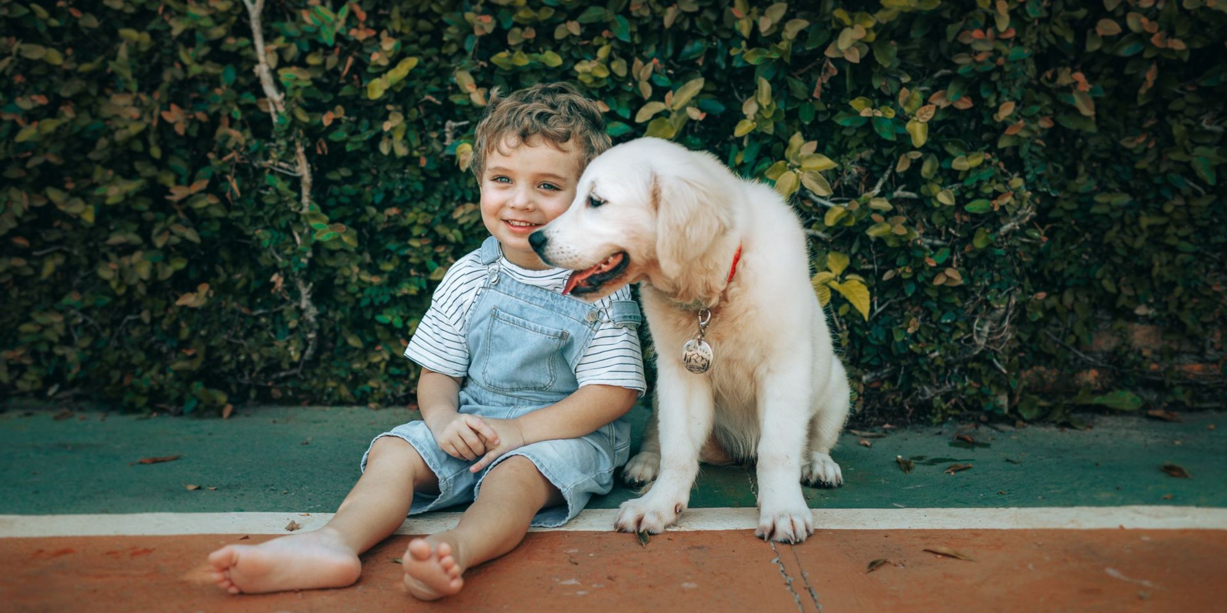Un bambino con un cane | Fonte: Pexels