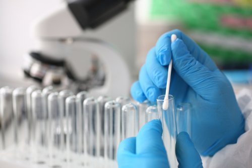 Científico realizando la prueba de paternidad en un laboratorio. | Foto: Shutterstock