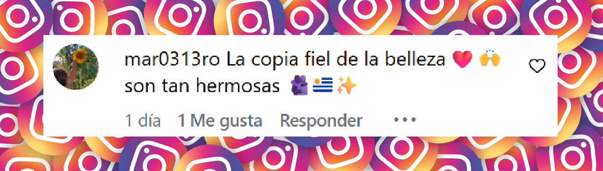 Comentario de una persona sobre el parecido entre Julieta Cardinali y su hija Charo Calamaro en sus fotos compartidas durante sus vacaciones en Colombia | Fuente: Instagram/julietacardinali
