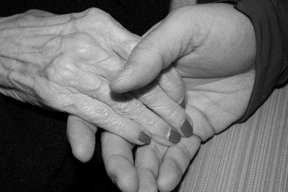 Mujeres tomadas de las manos. │Imagen tomada de: Pixabay