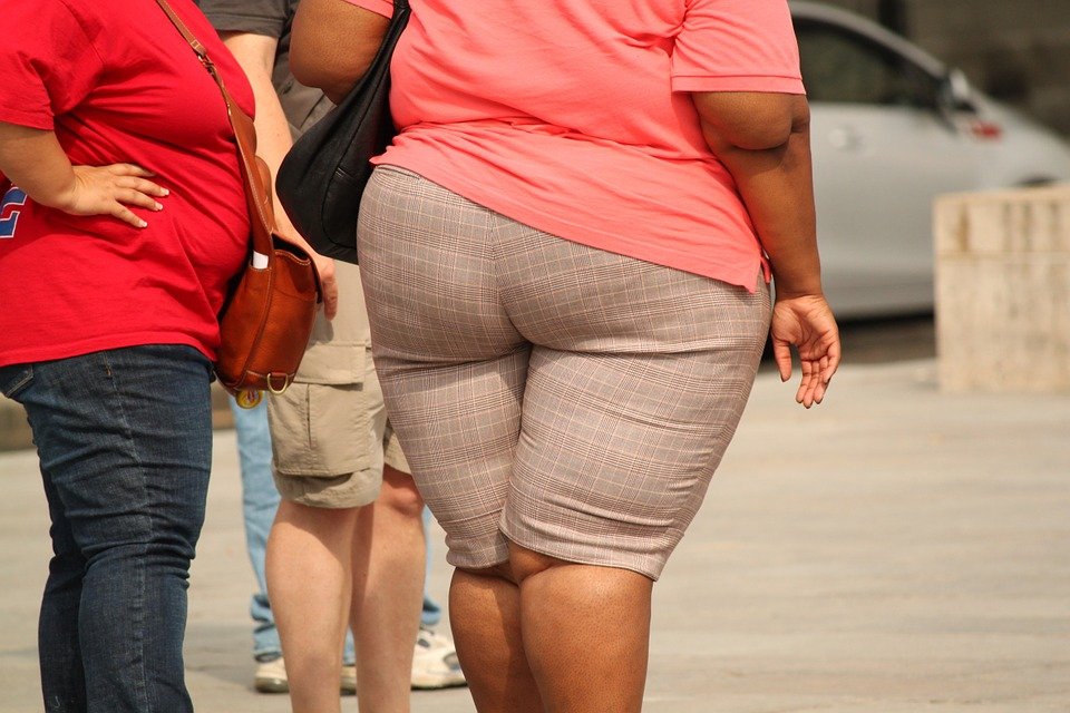 Mujer con sobrepeso | Imagen tomada de: Pixabay