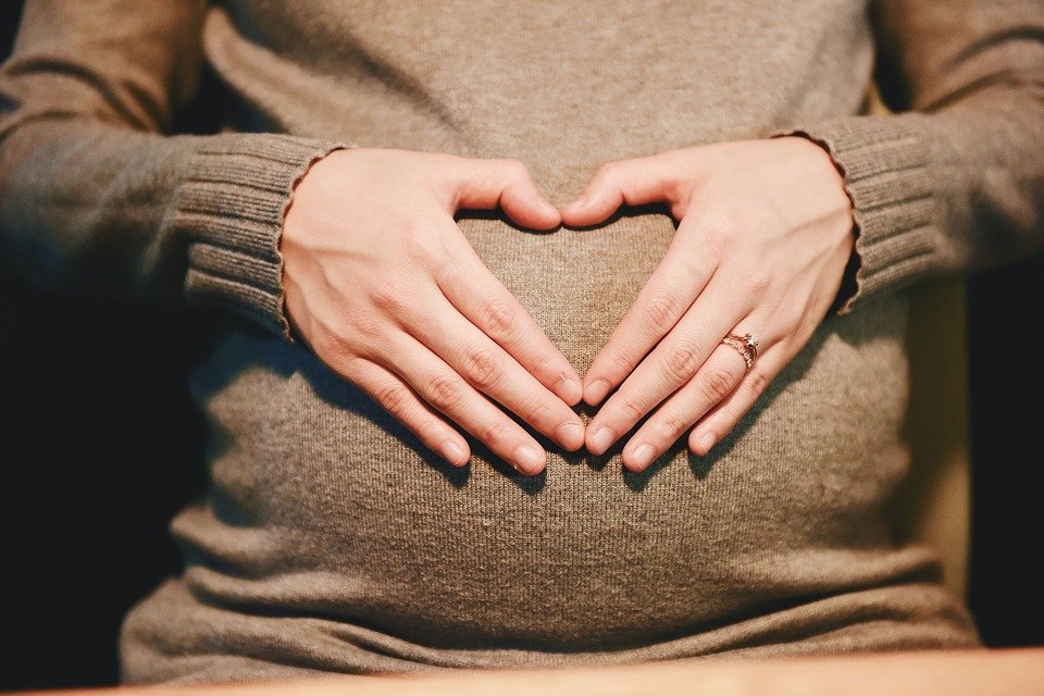 Mujer embarazada sosteniendo su vientre. | Imagen: Pixabay