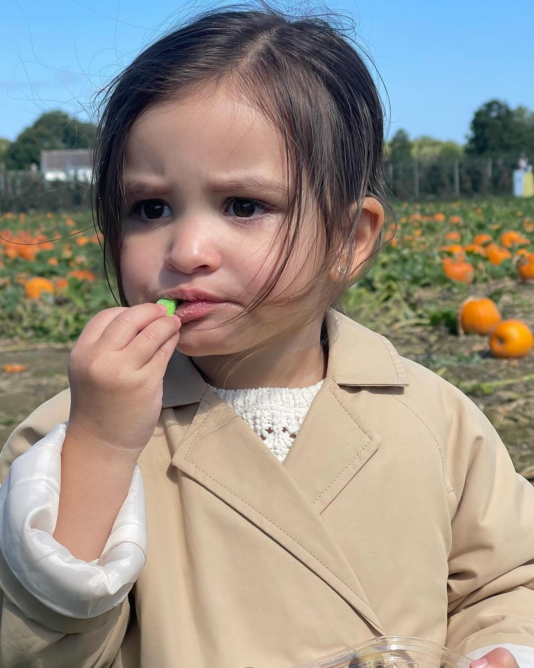 La nieta mayor de Lucía Méndez | Fuente: Instagram/ptorresmendez