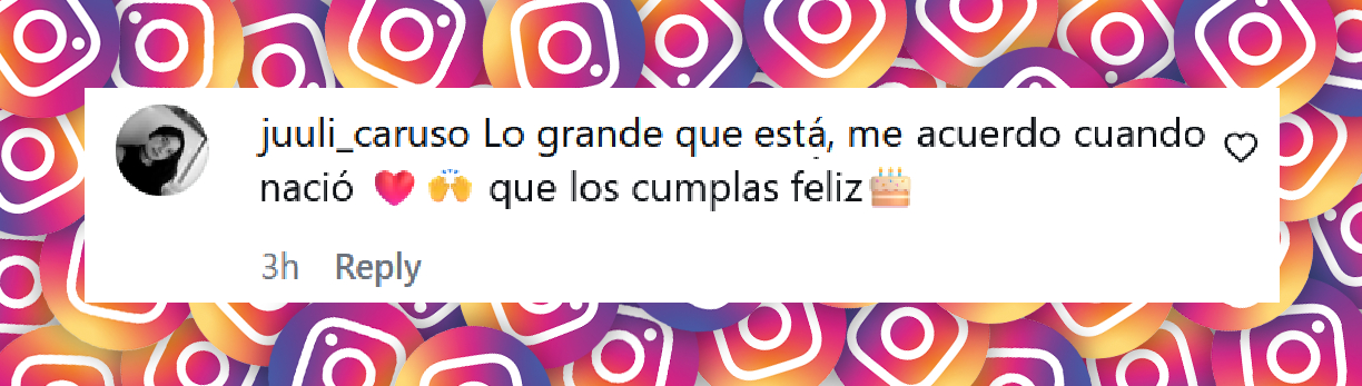 Comentario de una persona sobre el cumpleaños de Noah, el hijo mayor de Michael Bublé y Luisana Lopilato | Fuente: Instagram/luisanalopilato