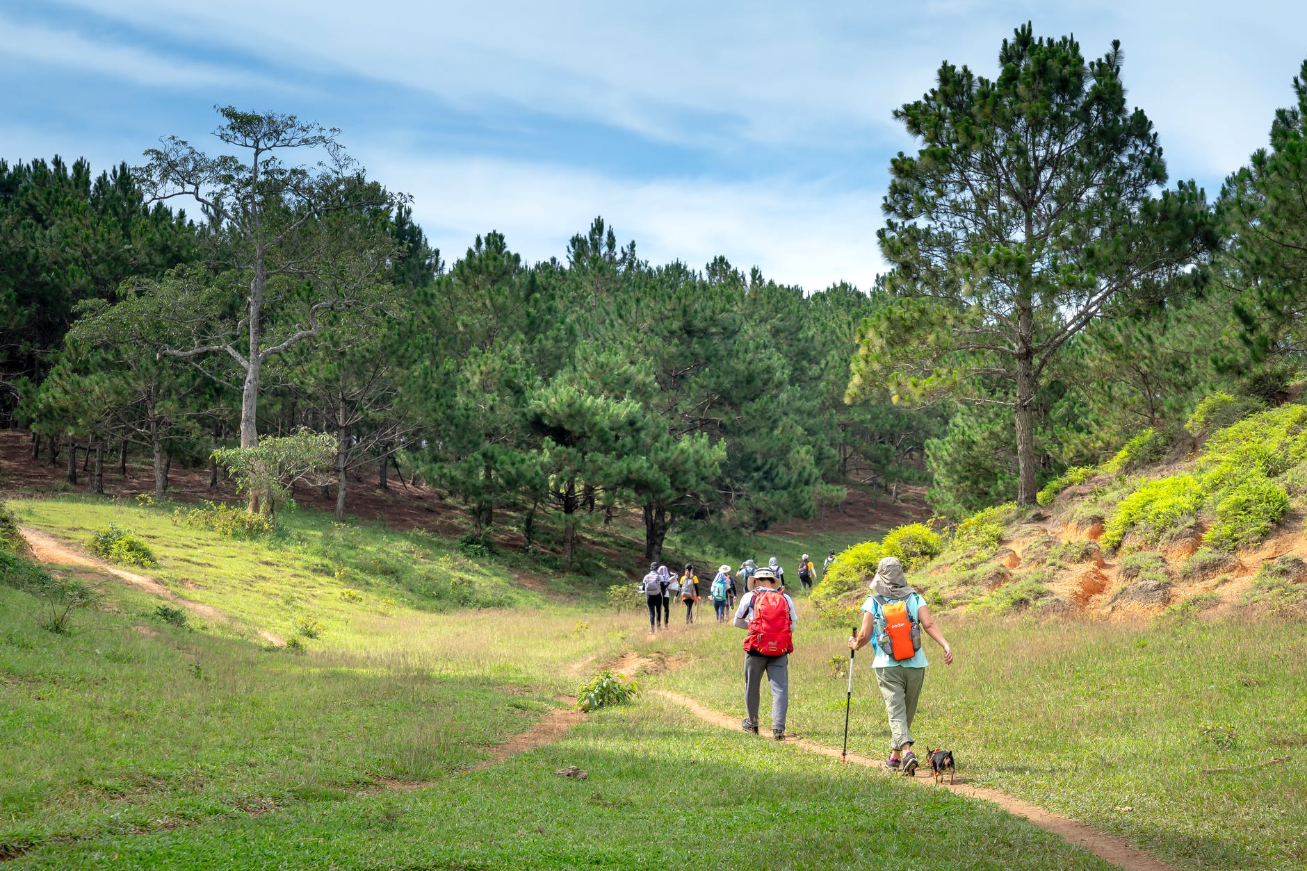 Un grupo de personas caminando a través de un sendero en medio de la naturaleza. | Foto: Pexels