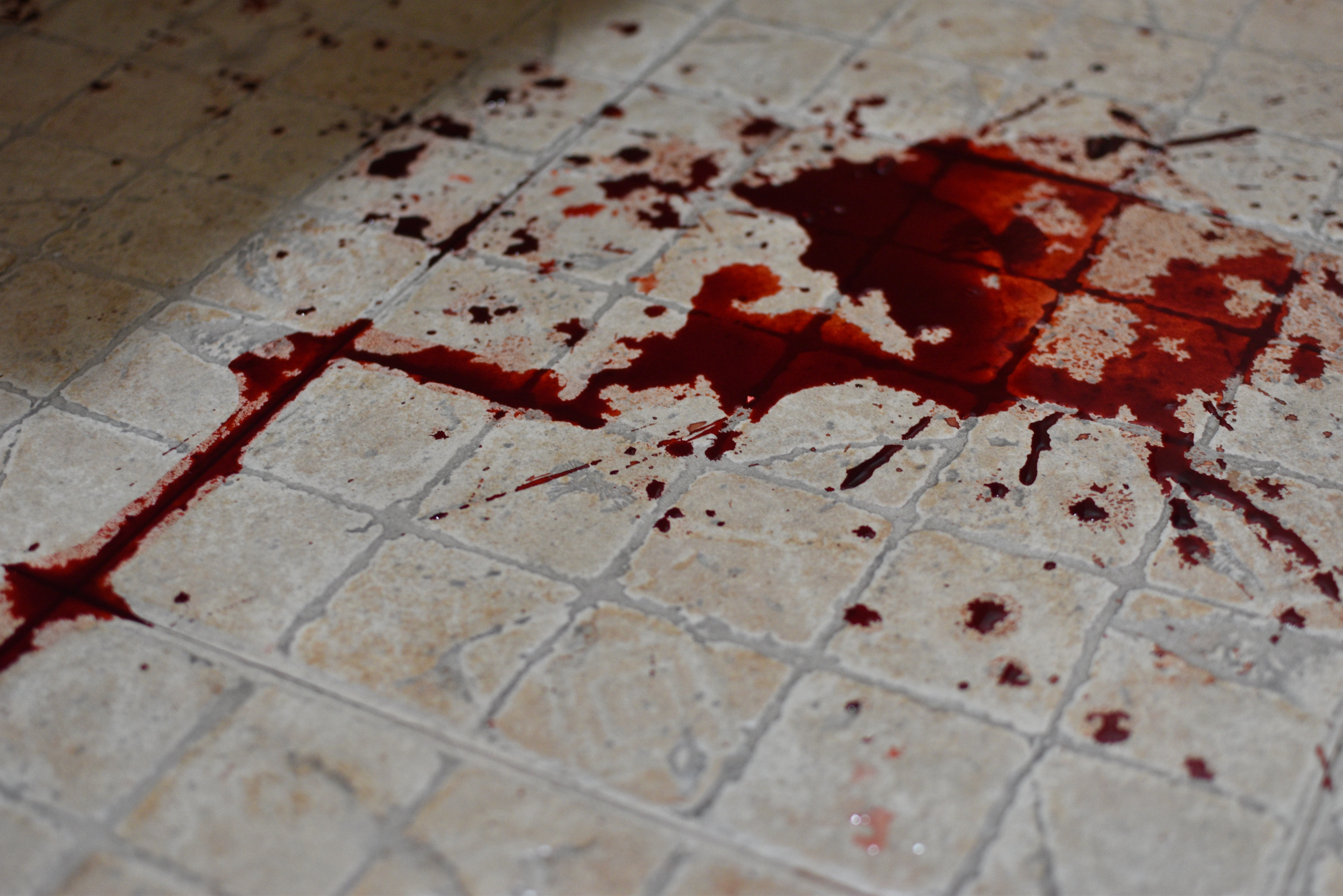Sangre en el suelo | Fuente: Shutterstock