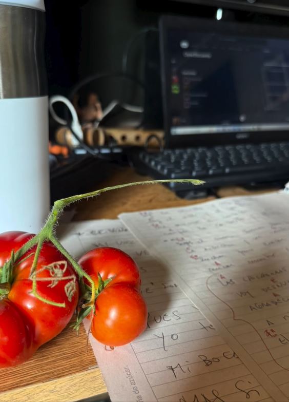 Una mesa con anotaciones musicales | Fuente: Instagram/gloria_carra