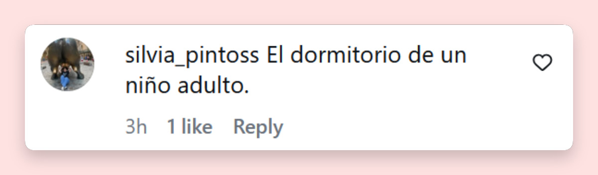 Comentario de una usuaria sobre el nuevo dormitorio que hizo Mica Viciconte para su hijo Luca Cubero | Fuente: Instagram/micaviciconte