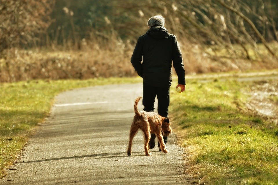 Hombre paseando a un perro. | Imagen: Pixabay
